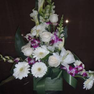 Orchidée Calla : une fleur élégante et majestueuse, symbole d’hommage et de respect. Son aspect sculptural sublime chaque composition funéraire.